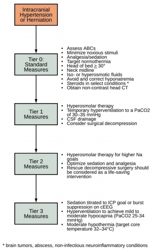 Episode 13: Intracerebral hemorrhage and elevated ICP (part 1 ...