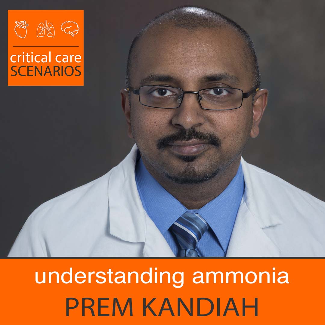 Episode 96: Understanding ammonia, with Prem Kandiah