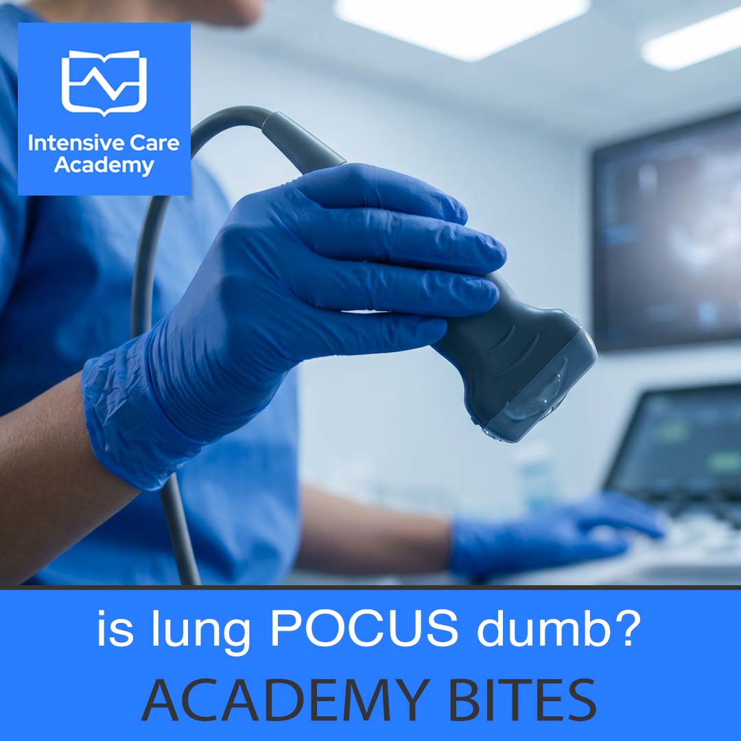 Academy bites: Is lung POCUS dumb?